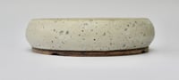 Image 4 of Round bonsai pot in a matte white speckled glaze. D.175mm