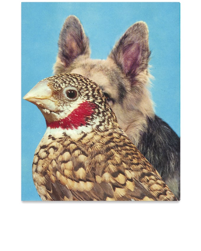 Image of 【Signed】'COMMON SENSE IS A HUNGRY BITCH' - art print