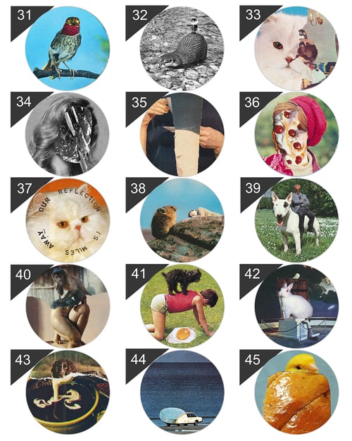 Image of button #41 (#31-#45)