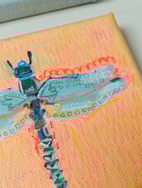 Image 2 of Bug collection 