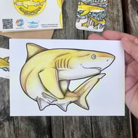 Image 3 of Lemon Shark Art Bundle