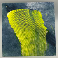 Image 1 of Emergent, scale, present 