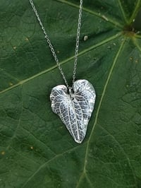Image 2 of Heart Leaf