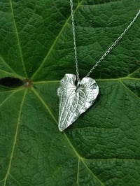 Image 3 of Heart Leaf