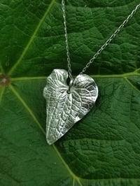 Image 4 of Heart Leaf