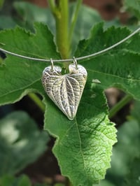 Image 2 of Heart Leaf 2