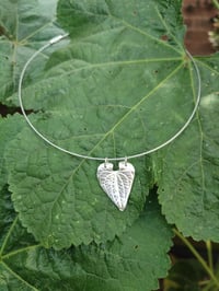 Image 3 of Heart Leaf 2