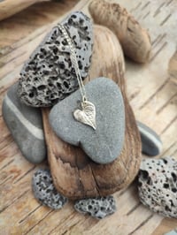 Image 3 of Mini Heart Leaf 