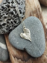 Image 1 of Mini Heart Leaf 