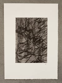 Image 1 of Mixed Grass Monoprint 2 - Original Abstract Art - A4