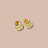 Image 1 of Puces Jeanne