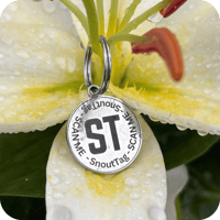 SnoutTag QR Code Pet Tag