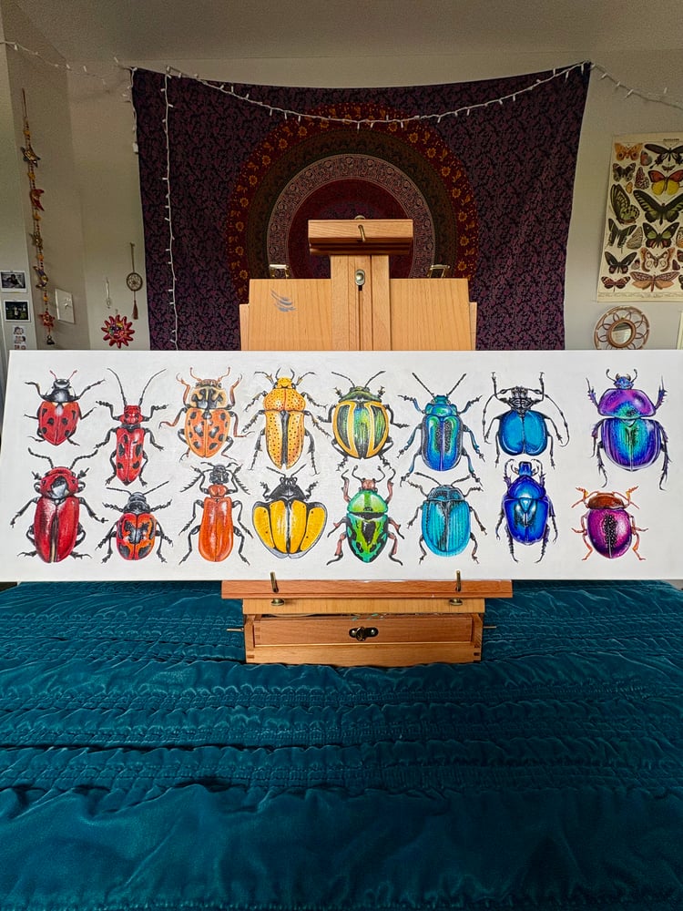 Image of "16 Beetles"