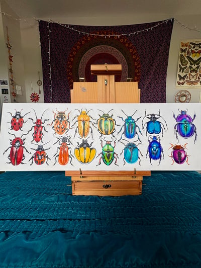 Image of "16 Beetles"