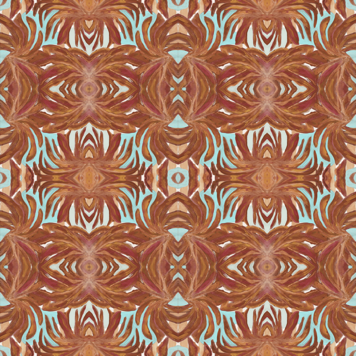 Image of Rust Monstera