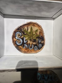 Image 2 of Skunk tray 