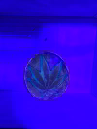 Image 3 of Leaf6