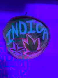 Image 4 of Indica tray 