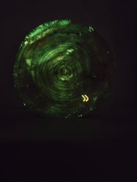 Image 7 of Weed tray