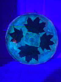 Image 4 of Four maple leaves tray