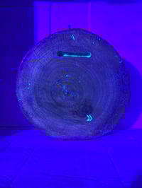 Image 6 of Nugz tray