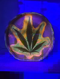 Image 4 of Leaf8 tray