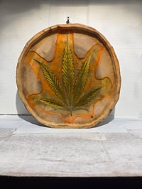 Image 3 of Leaf8 tray