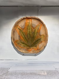 Image 2 of Leaf8 tray