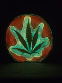 Image 1 of Leaf8 tray