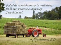 Galatians 6:9 Wall Poster