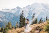 Image 5 of 2025 Mt. Rainier Wildflower Roadside Adventure - $1500 ($500 retainer)
