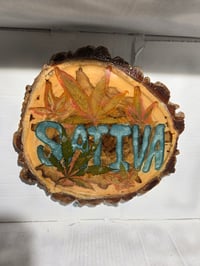 Image 3 of Sativa tray