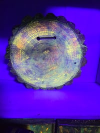 Image 6 of Hydro tray