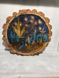 Image 3 of Hydro tray