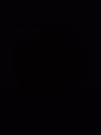 Image 5 of Herb tray