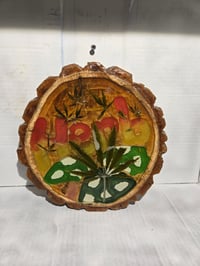 Image 3 of Herb tray