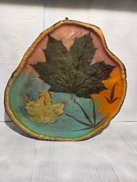 Image 2 of Maple leaves