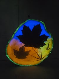 Image 4 of Maple leaves