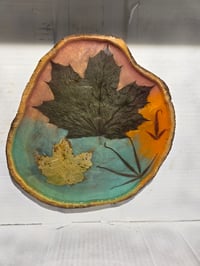 Image 1 of Maple leaves