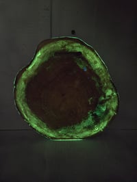 Image 7 of Maple leaves