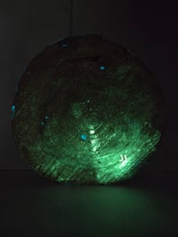 Image 7 of Cannabis tray