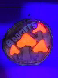 Image 4 of Boomers tray