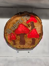 Image 2 of Boomers tray