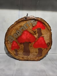 Image 3 of Boomers tray