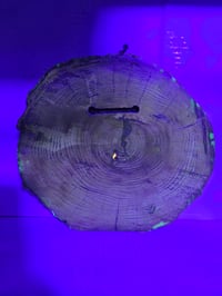 Image 6 of Boomers tray