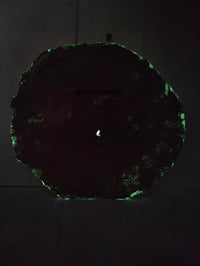 Image 7 of Boomers tray