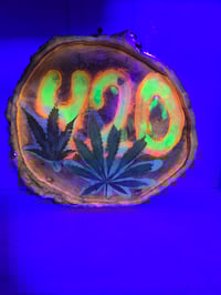 Image 4 of 420 tray