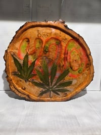 Image 3 of 420 tray
