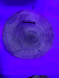 Image 6 of Leaf9 tray