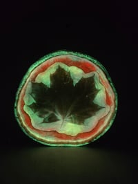 Image 1 of Maple leaf2 tray